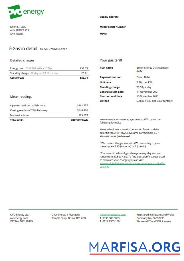 Blank United Kingdom Ovo Energy utility bill, Word and PDF template